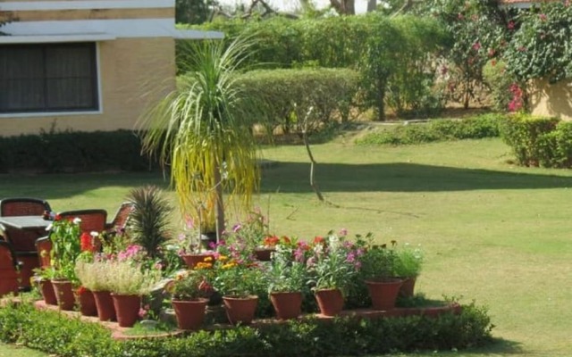 The Pushkar Ramblers Hub