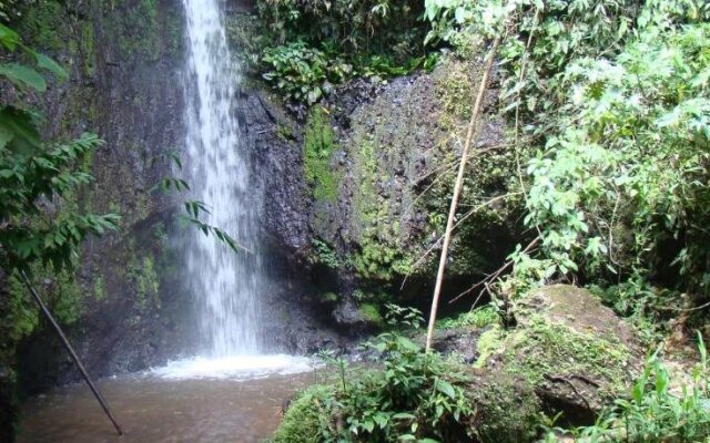 Finca la Holanda