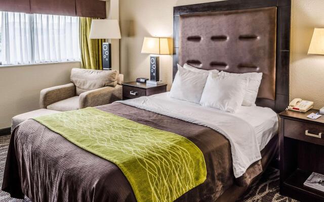 Comfort Inn Downtown Charleston