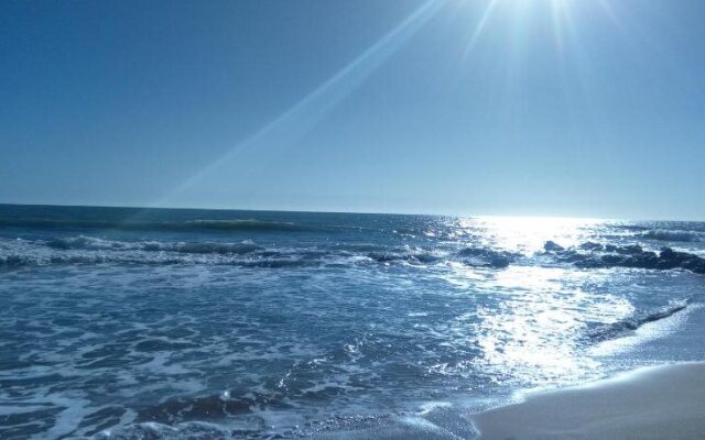 Paradialaw