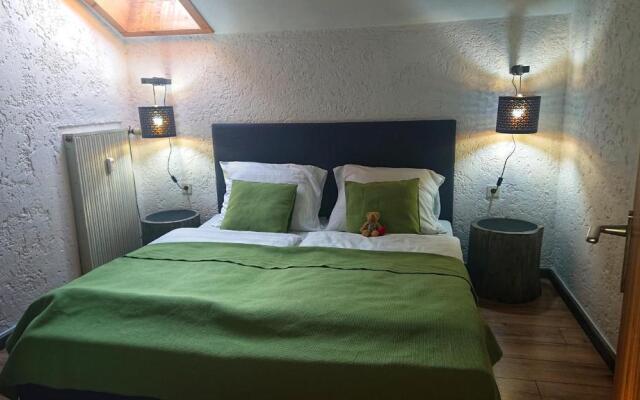 Arber Apartments - Zwieslerwaldhaus