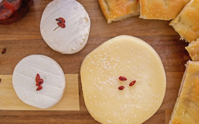 Agriostello delle Langhe