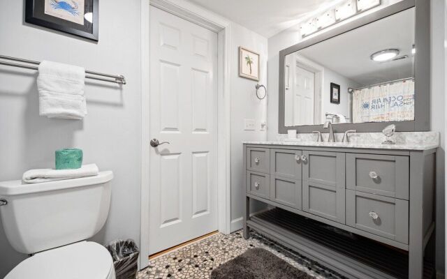 Night Heron Hilton Head Island