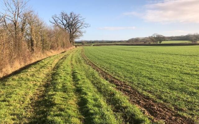 Forest view Bed and Breakfast