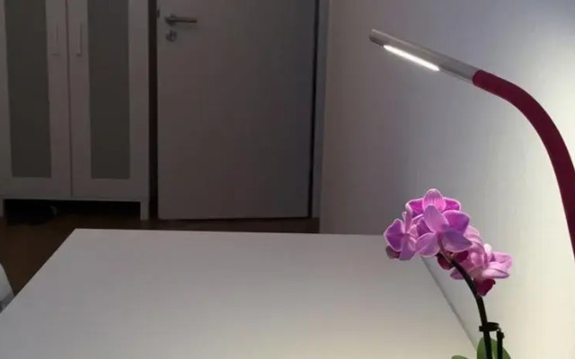 Privatwohnung Wang
