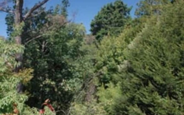 Leura Lady