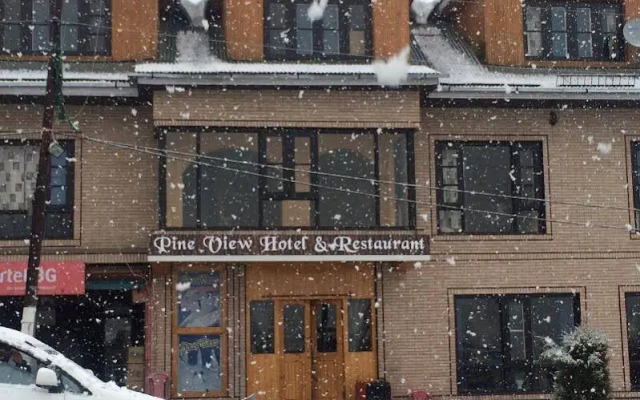 Pine View