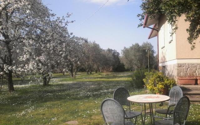 Casa Vacanze La Tartaruga