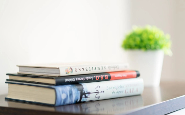 ***** Solaina das Burgas ***** en el Casco Viejo