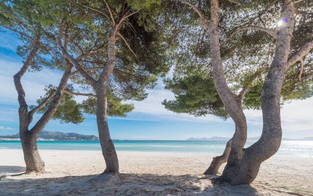 Apartamento Edif. Playa 1D