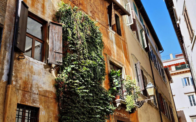 Town House - Treasurerome Collection