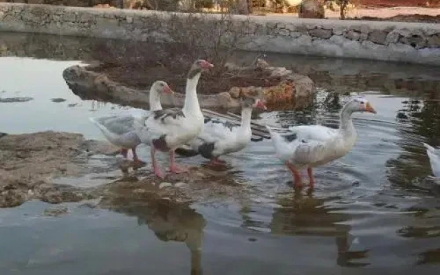 Zio Zac Agricampeggio