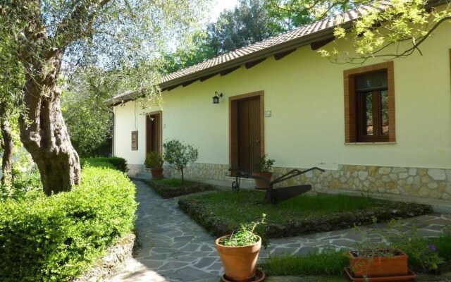 Valle Degli Ulivi