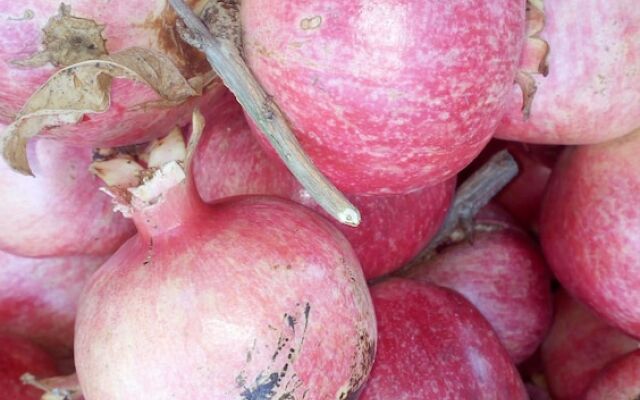 Il Casale Dell'Ara Delle Rose