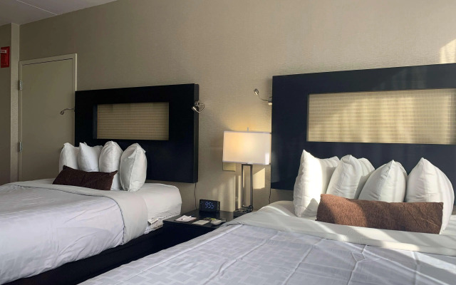 Best Western Executive Hotel Of New Haven - West Haven
