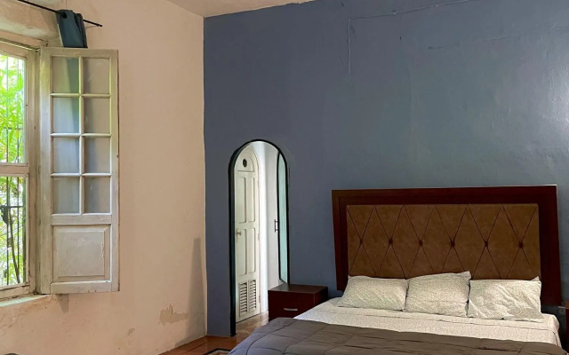 Hostal Rosa Mexicano - Hostel