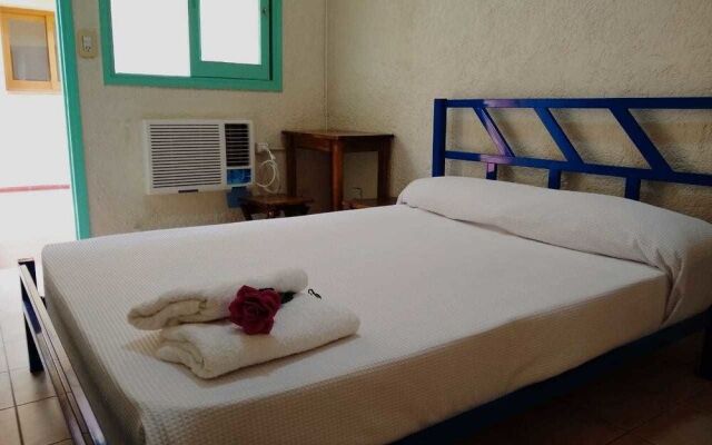 Black Sheep International Hostel