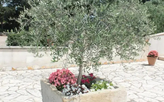 Tenuta Turchi