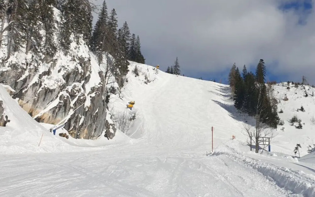 Narcissus Comfortable Holiday Residence