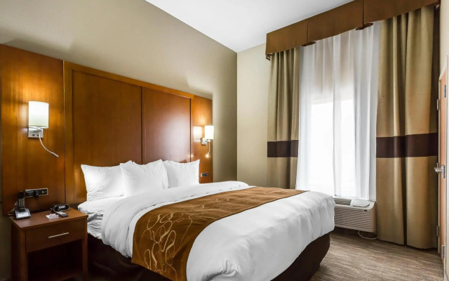 Comfort Suites University