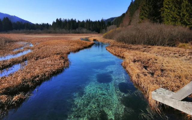 Apartments Podkoren 82