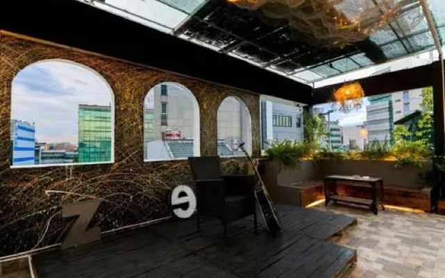 Cactusland Near Tan Son Nhat Airport