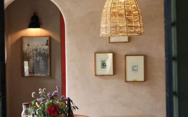 Alma Liebre Viñedos del Valle