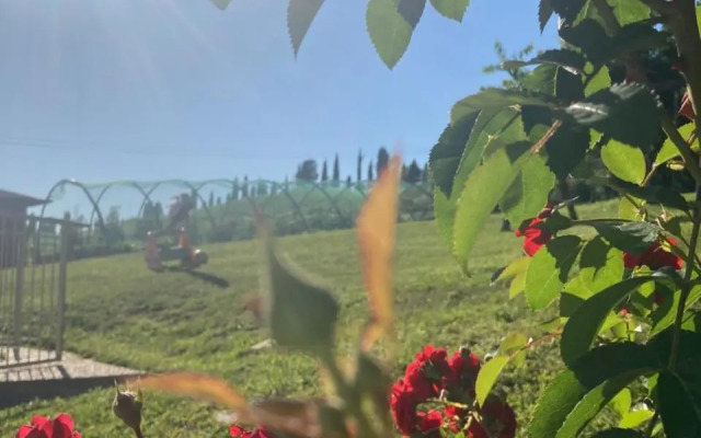 B&B” La Tezza”
