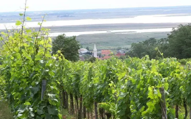 Gartenpension Fischl