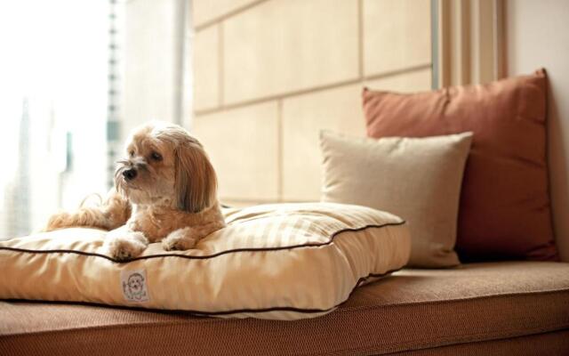 Отель The Tess, Autograph Collection