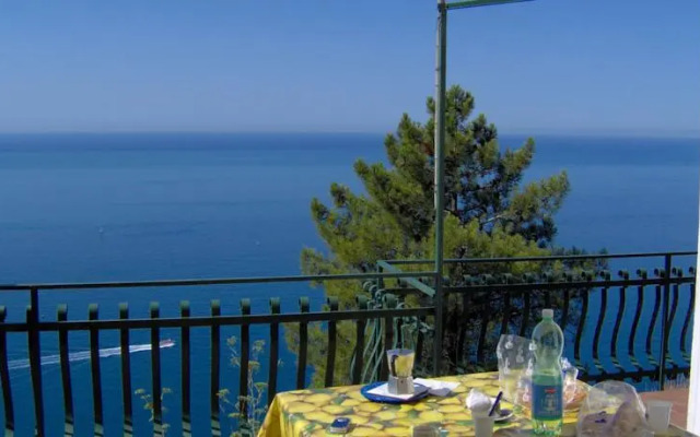 La Volpe e lUva Mare