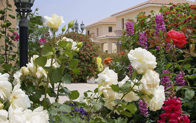 Reginas Exclusive Villas