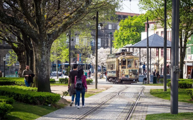 Bright & Spacious Sanctuary in the Center of Porto