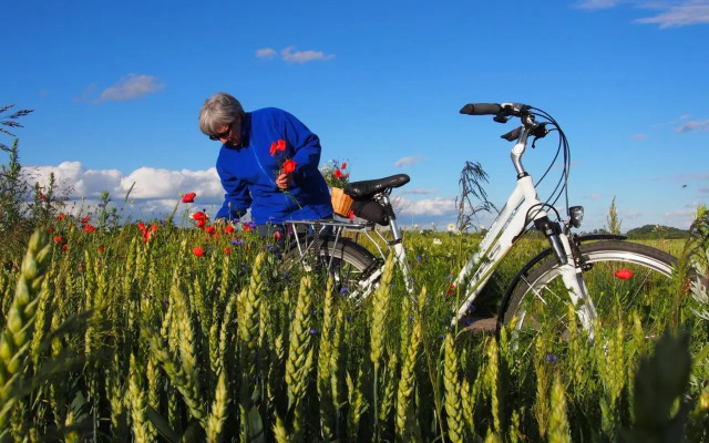 Agroturystyka Lolkowo