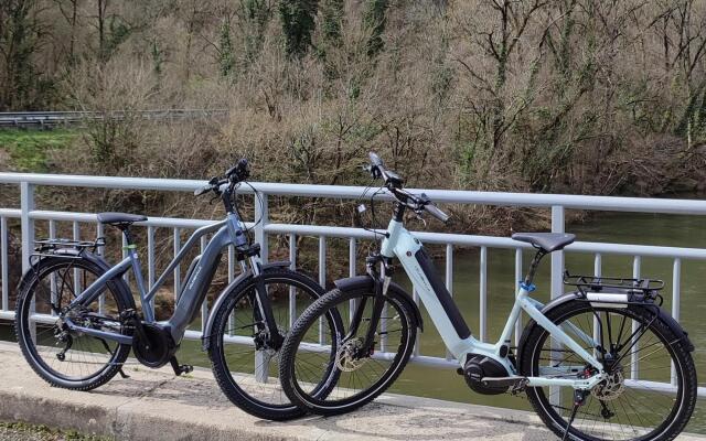 Dreamy Villa in Bruniquel with Jetty