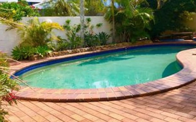 Cotton Tree Tranquil Gem