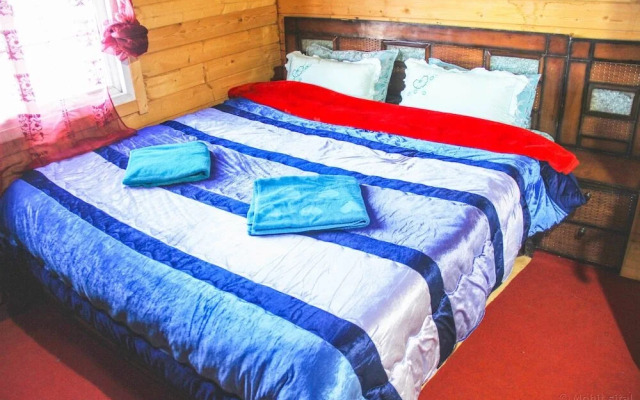 Alpine Huts