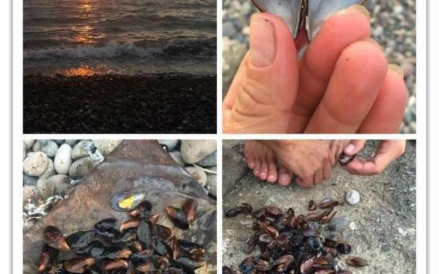 family hotel our house