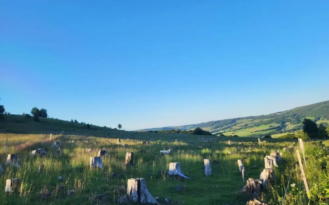 Holiday Home Birx Rhon