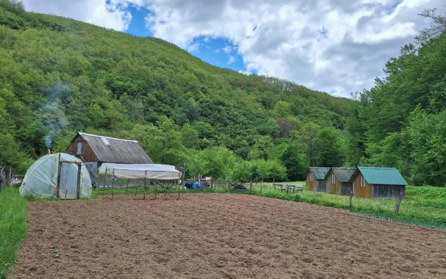 Country house Tara Orasac