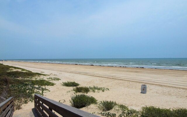 Happy Starfish LCV36