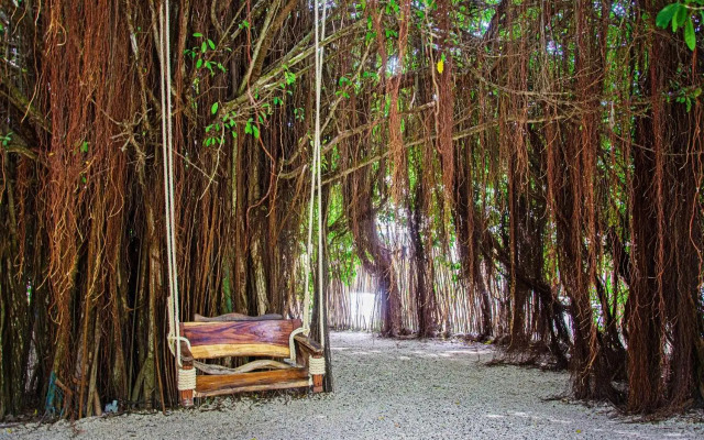 Namaste Beach Club & Hotel