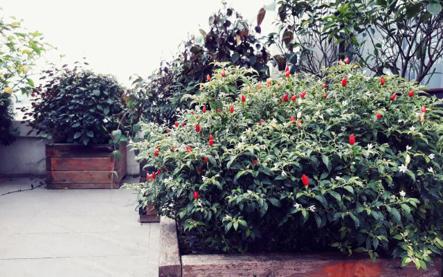 The Ann Hanoi Hotel & Spa