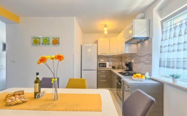 Apartment Viola ,2019