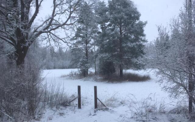 Amazing Country House Forest and Ocean Near