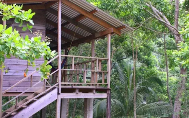 Cabaña del Bosque