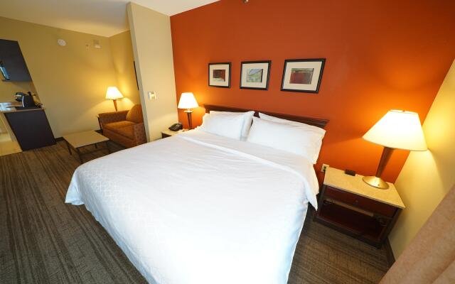 Holiday Inn Express Hotel & Suites Tampa Northwest - Oldsmar, an IHG Hotel