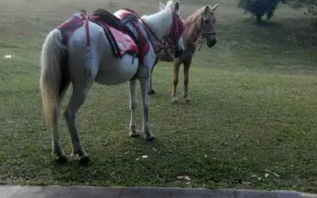 Villa Ciater Highland