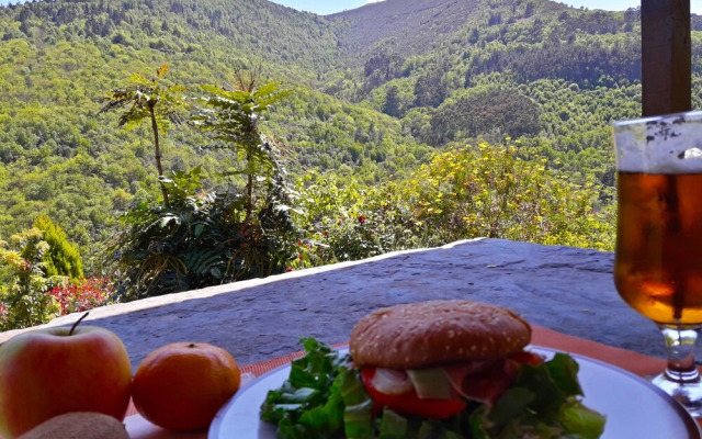 El Bosque de las Viñas