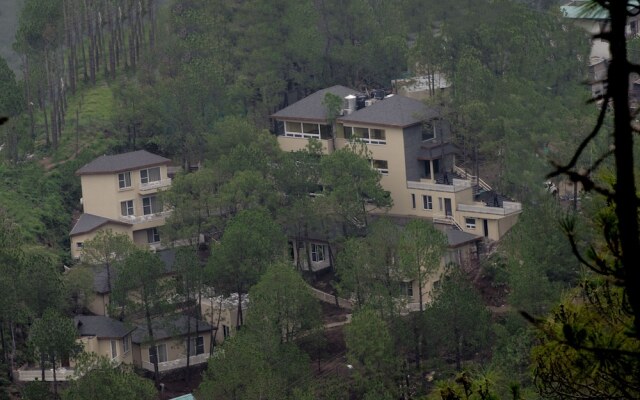Jungle Lodge Resort